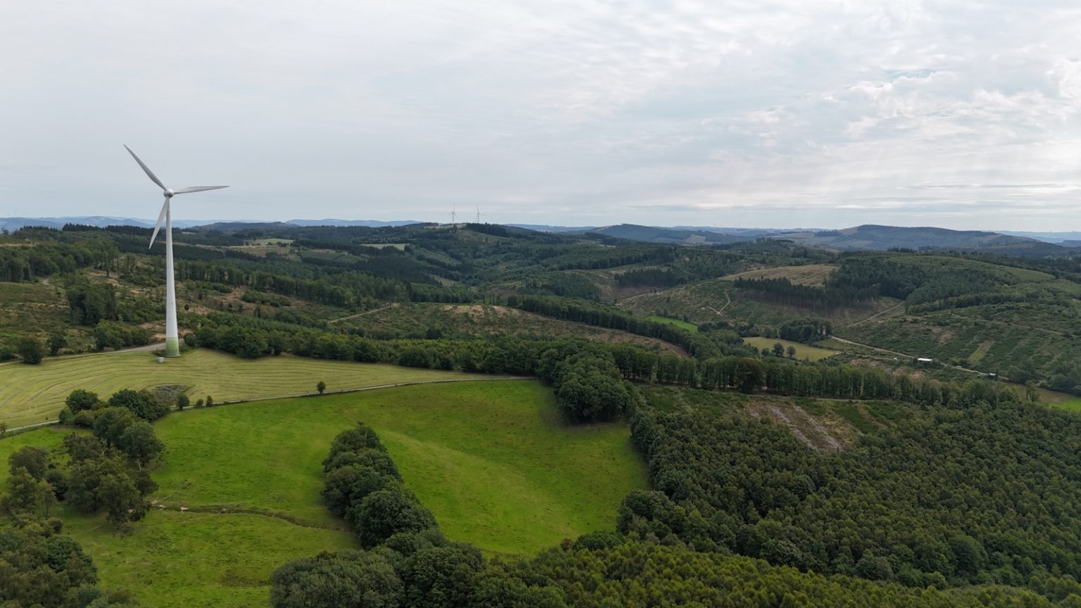 dji_fly_20250808_113724_0041_1754645771476_photo